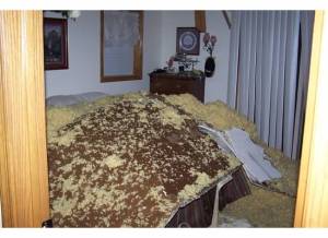 tornado damage m bdrm bed